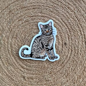 May include: A sticker featuring a seated tabby cat with brown and black stripes. The cat has green eyes and is set against a white background. The sticker is placed on a round, woven, brown placemat.