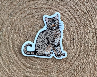 Brown Tabby Cat Sticker Waterproof Water Bottle Laptop Sticker Kitty Gift