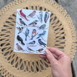 May include: A rectangular card featuring watercolor illustrations of various birds, including a red cardinal, blue jay, and hummingbird. Each bird is perched on a thin branch. The card is held against a neutral background.