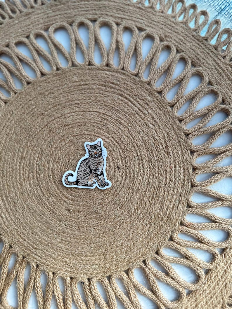 May include: A sticker of a tabby cat sitting upright, with brown and black stripes, is centered on a round, woven jute placemat. The placemat has a spiral design with a decorative, openwork border.