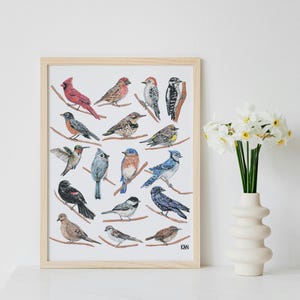 May include: A framed print featuring watercolor illustrations of various North American birds perched on branches. The artwork includes a red cardinal, blue jay, and hummingbird, among others. The frame is light-colored wood.