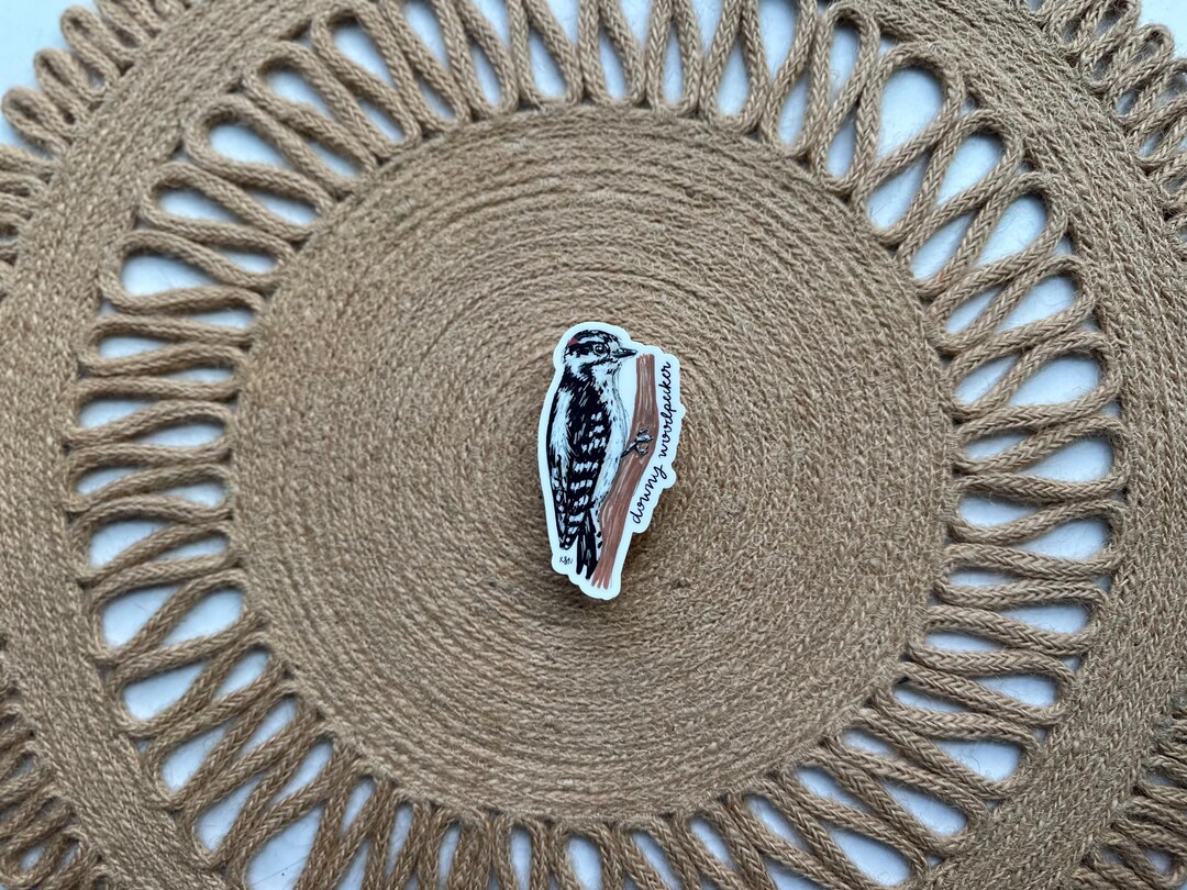 Twm Sticker Downy Woodpecker Sticker Waterproof Bird Lover Gift - Etsy
