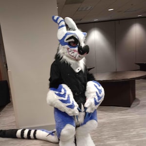 Dragon Full Fursuit Original Species Fursuit Full Furry Costume (ON HOLD)