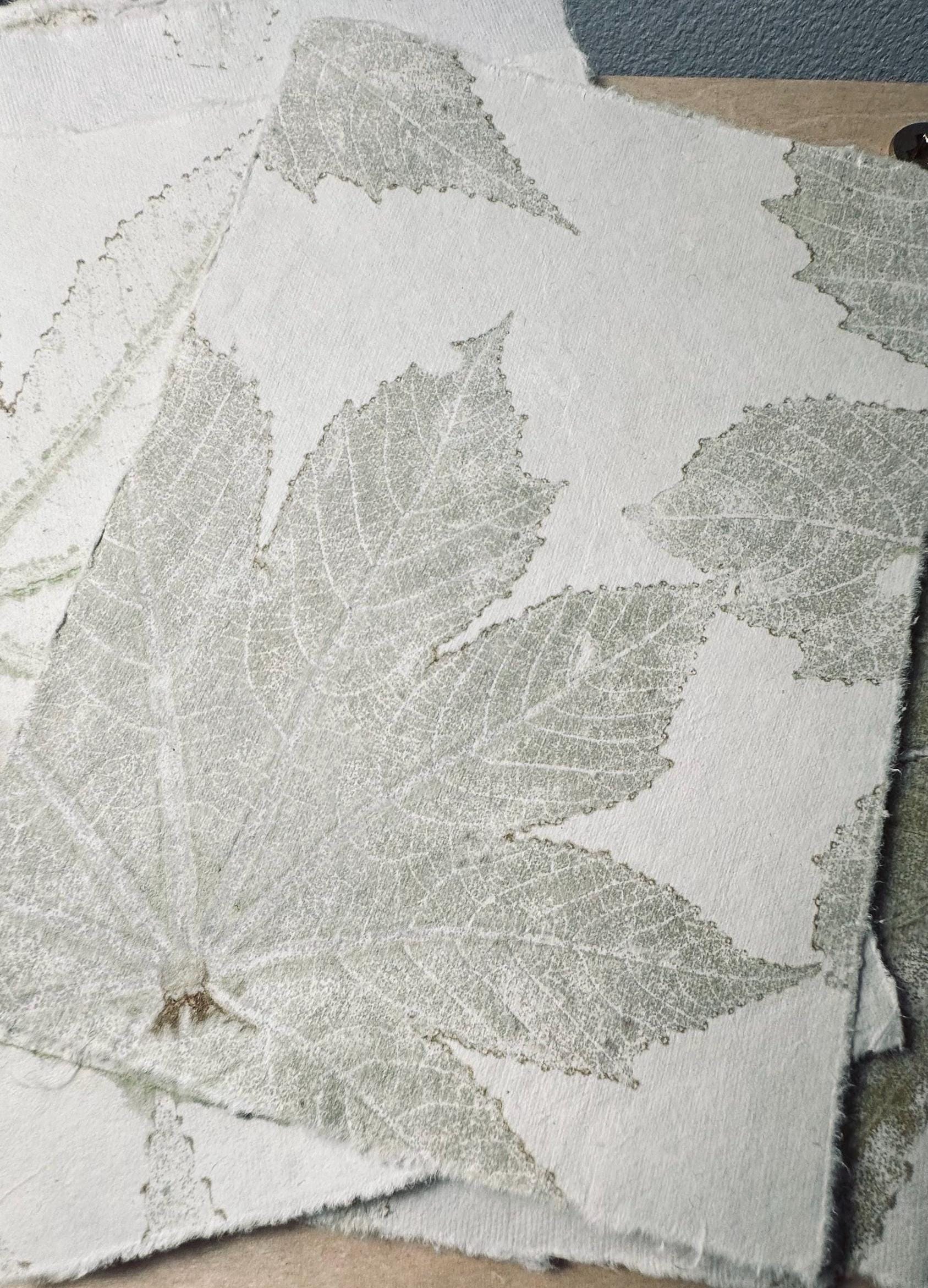 Textured Paper With Deckled Edges and Natural Leaf Impressions. Approx ...