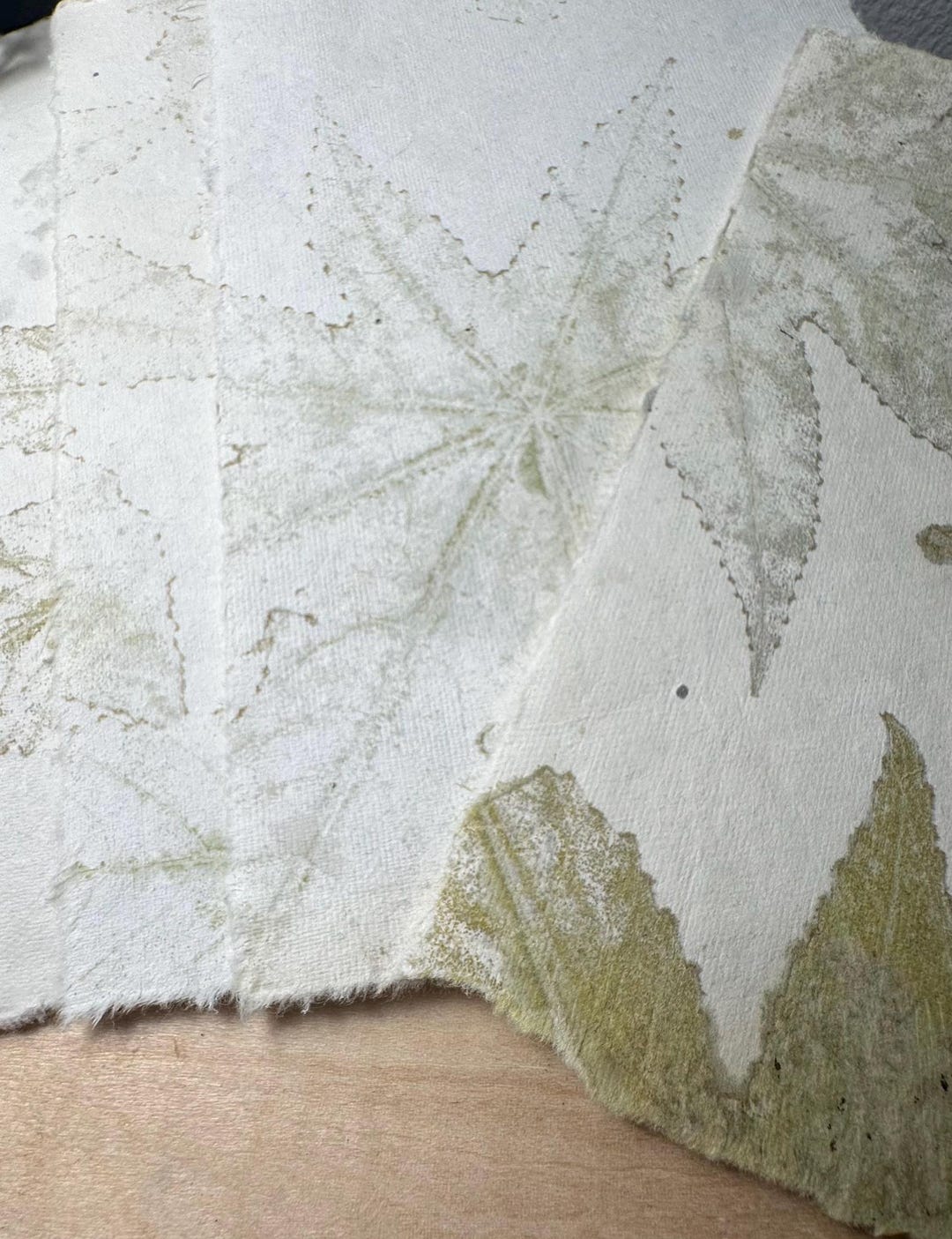 Textured Paper With Deckled Edges and Natural Leaf Impressions. Approx ...
