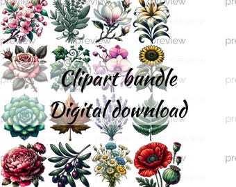 Vintage Floral Clipart Bundle: Botanical Art PNG (Digital Download)
