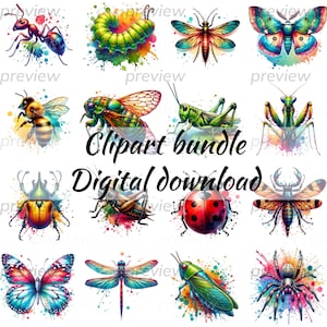 Insect Watercolor Clipart, Insect Clipart, Cute Insects, Insect, Insect Graphics, Insect Printables, Digital Download