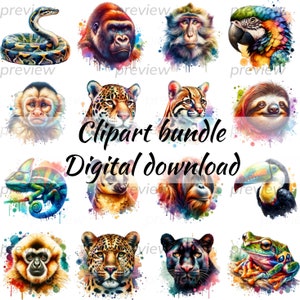 Jungle Animal Clipart, Watercolor Clipart, Safari Animals, Jungle Animals Png, Clipart Bundle, Jungle Baby Shower, Digital Download