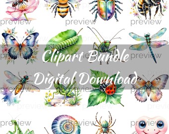 Watercolor Garden Insects Clipart Bundle PNG Download