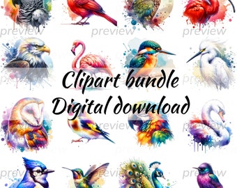 Watercolor Birds Clipart Bundle: Colorful Bird Lover PNG (Digital Download)