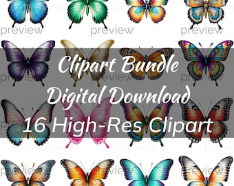 Butterfly Clipart Bundle, Colorful Butterfly PNG, Garden Insects, Commercial Use