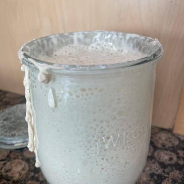 163+ year old Heirloom Sourdough Starter