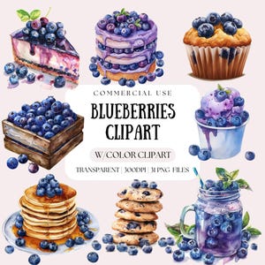 Watercolor Blueberries Clipart | Fruit Clipart | Vibrant Summer Png | Card Making Png | Blueberry Cake Clipart