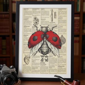 Könnte beinhalten: Gerahmter Druck mit einer Illustration eines Marienkäfers, roten Flügeln mit schwarzen Punkten, vor einem Hintergrund aus Vintage-Text und wissenschaftlichen Diagrammen. Der Druck ist in einem schwarzen Rahmen.