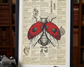 Vintage Dictionary Art Ladybug  Matte Vertical Poster