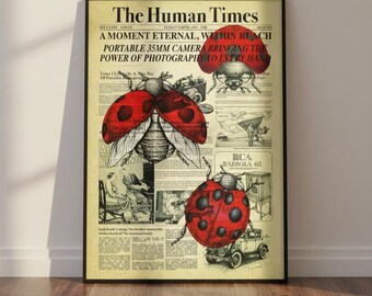 Vintage Newspaper Art Print, Ladybug Entomology, 1920s Style