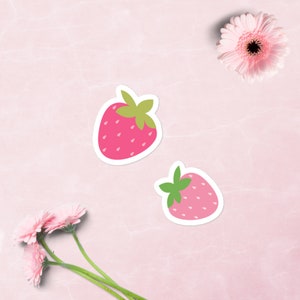 Strawberry Stickers Pink Strawberry Sticker Set Gift for Her Laptop Sticker Pink Water Bottle Sticker Summer Fruit Gift