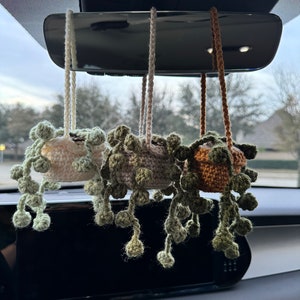 Small String of Pearls Hanging Crochet Plant