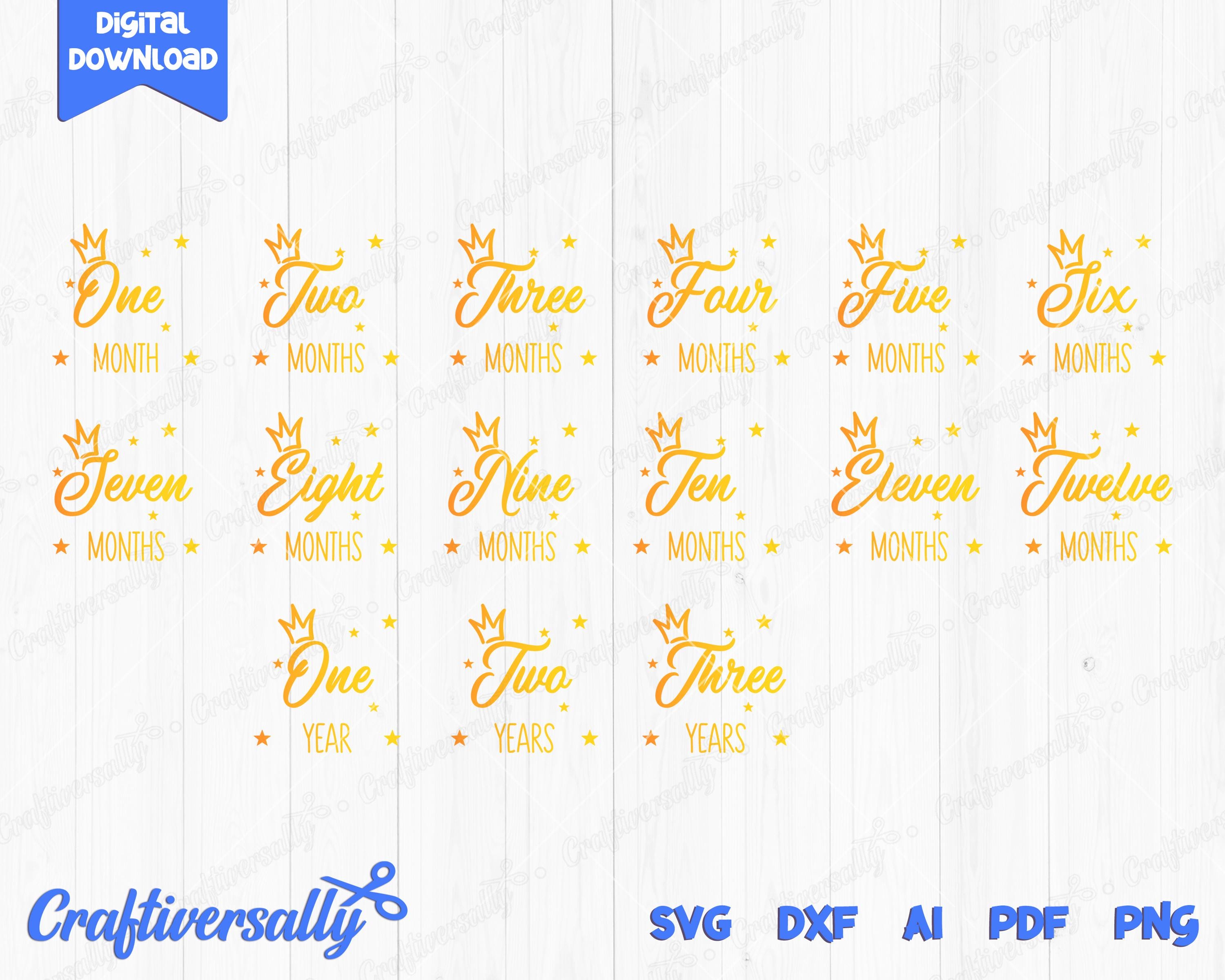 Baby Monthly Milestone SVG Bundle | King Princess Vector (digital Files ...