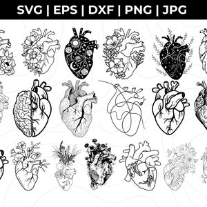 Anatomical Heart svg bundle, Flower Heart Svg, Human Heart Svg, Anatomy Svg, Heart SVG, Medical Svg, Cut File For Cricut,