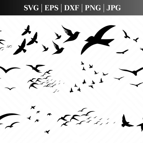 Birds Silhouette Set - Bird svg, Bird Silhouette, Flock of Birds, Swan Silhouette, Parrot svg, Birds Tattoo, Bird Svg Bundle, Flying Bird