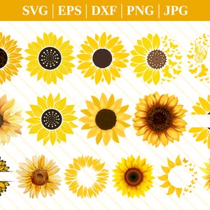 Tournesol Papillon svg, Tournesol svg, Papillon svg, Tournesol Papillon pour Cricut, Tournesol avec Papillon coupé fichier clipart svg png