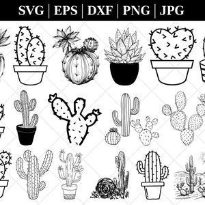 Cactus SVG,Cactus svg files for cricut,Cactus svg Bundle,PNG,DXF,Cactus Cut ifle,Cricut,Silhouette,Commercial use,Instant download