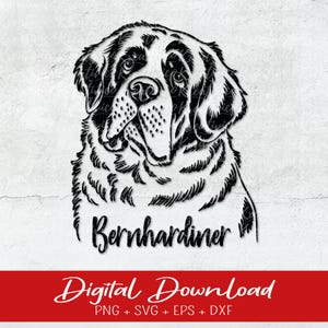 Archivo de trazador San Bernardo | Perro San Bernardo SVG, PNG | SVG | EPS | dxf | Archivo digital | Para descarga directa, retrato de perro png