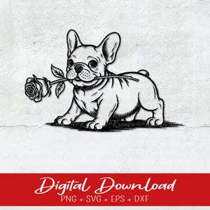 Französische Bulldogge Rasse Pfote Welpe Haustier Lustig nieldich Design Element Logo SVG PNG Clipart Vektor Cricut Cut Schneidedatei