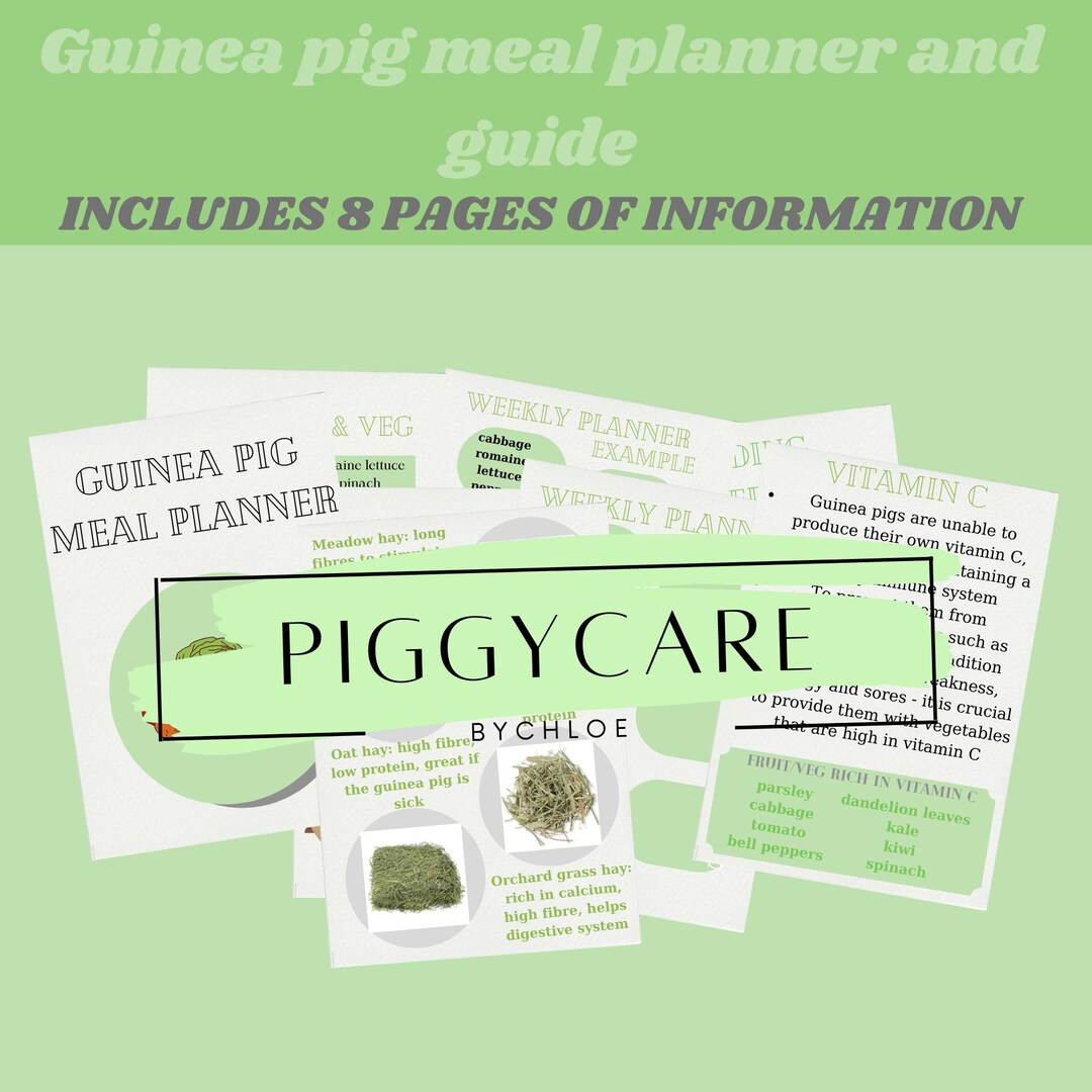Photo inspiration: Guinea Pig Meal Planner Guide Updated 2026 Photo Inspiration