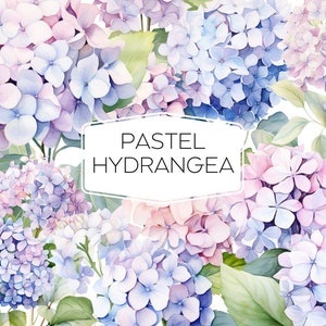 Clipart PNG di fiore di ortensia pastello, ortensia dell’acquerello blu pastello, rosa, floreale PNG, ghirlanda di bouquet da sposa, sublimazione di fiori, digitale