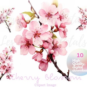 Fiore di ciliegio Clipart Fiori Download digitale, 10 JPG PDF PNG, Alta qualità, Creazione di cartoline, Supporti misti, Mestiere con carta digitale, Acquerello