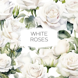 Rose bianche acquerello Clipart matrimonio fiori Bouquet acquerello floreale Clipart mazzi ghirlanda Download digitale JPG PNG floreale amore rose