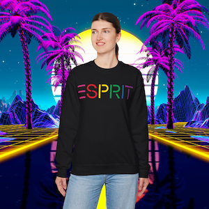 May include: A black sweatshirt with the word "ESPRIT" printed in rainbow colors. The sweatshirt is being modeled against a retro-style background with palm trees and a sunset.
