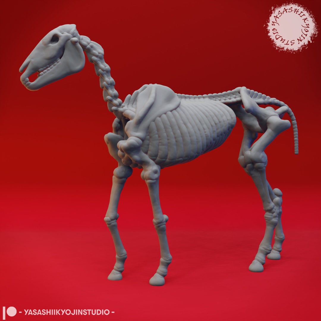 Skeleton Horse 32mm Scale for D&D 5e and Pathfinder Crafted by Yasashii