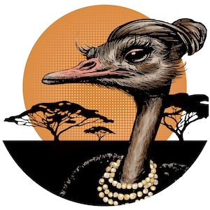 Bird - Ostrich
