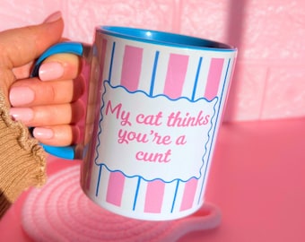 Funny Cat Mug, Pink & Blue Ceramic, Cat Lover Gift