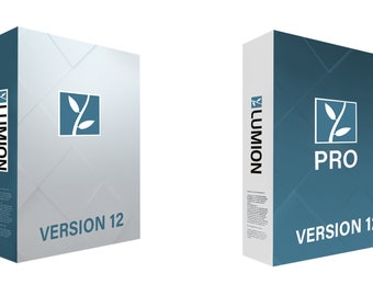 LumionPro 12.5 Student Edition 1 año/1 LICENCIA OFICIAL PARA PC