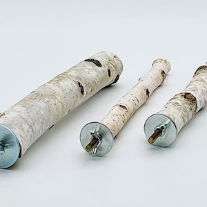 10” Natural Birch Wood Perch for Small, Medium & Large Parrots • Natural Perch • Small Bird Perch • Medium Bird Perch • Large Bird Perch