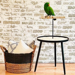 Black Modern Floor Parrot Stand: Portable Bird Perch with Mess-Free Base