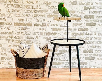 Black Modern Floor Parrot Stand: Portable Bird Perch with Mess-Free Base