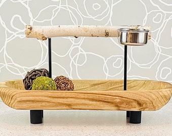 Tabletop Parrot Stand: Modern Birch Wood Perch with Feeding Dishes