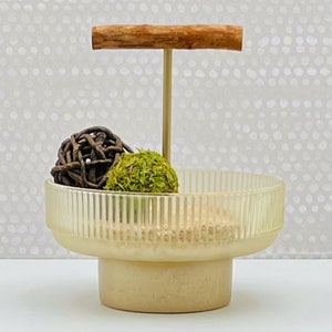 Frosted Glass Parrot Stand • Portable Bird Perch • Modern Parrot Stand • Tabletop Bird Perch • Sturdy Parrot Stand • Mess-Free Bird Perch