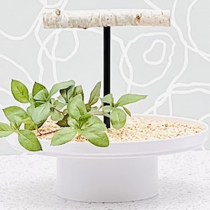 Small White Parrot Stand • Portable Bird Perch • Tabletop Parrot Stand • Mess-Free Bird Perch • Modern Parrot Stand • Sturdy Bird Stand