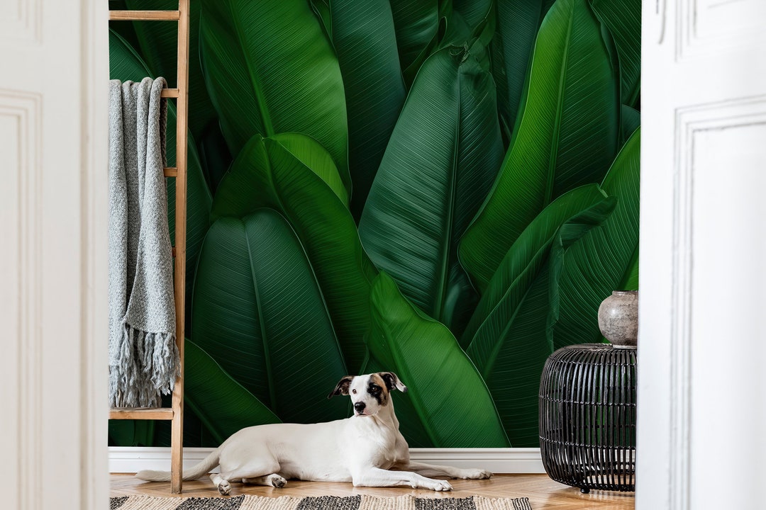 Green Tropical Leaves Wallpaper | Jungle Wall Decor | Home Renovation ...