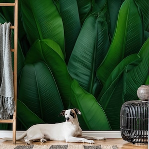 Carta da parati verde con foglie tropicali | Decorazione da parete giungla | Ristrutturazione casa | Arte della parete | Carta da parati in vinile staccabile e incollabile o non autoadesiva