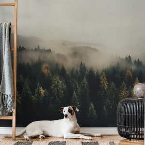 Abstrakte Tapete des dunklen nebligen Waldes | Wanddekoration | Hausrenovierung | Wandkunst | Vinyl-Tapete zum Abziehen und Aufkleben oder nicht selbstklebend