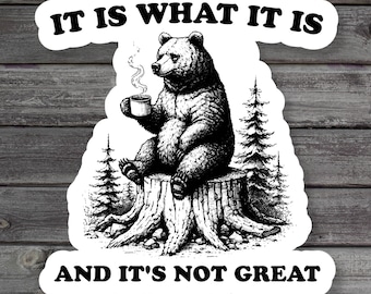 It Is What It Is Sticker, Funny Bear Meme Sticker, Vintage Bear, Gen Z Humor, Millennial Laptop Sticker, Book Stickers, Vinyl Sticker