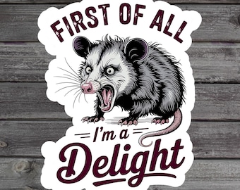 First Of All I'm A Delight Sticker, Sarcastic Angry Opossum Sticker, Mental Health, Millennial Laptop Sticker, Meme Water Bottle Stickers