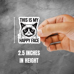 This Is My Happy Face Sticker, Grumpy Cat Sticker, Funny Cat Lover Gift, Laptop Sticker, Animal Lover Book Stickers, Vinyl Sticker image 2